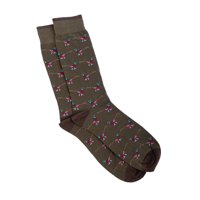 Bonart Poole Pheasant Socks - Green